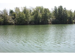 Property photo 47 - 419 +/- Acres offered in 6 Tracts, Land Auction